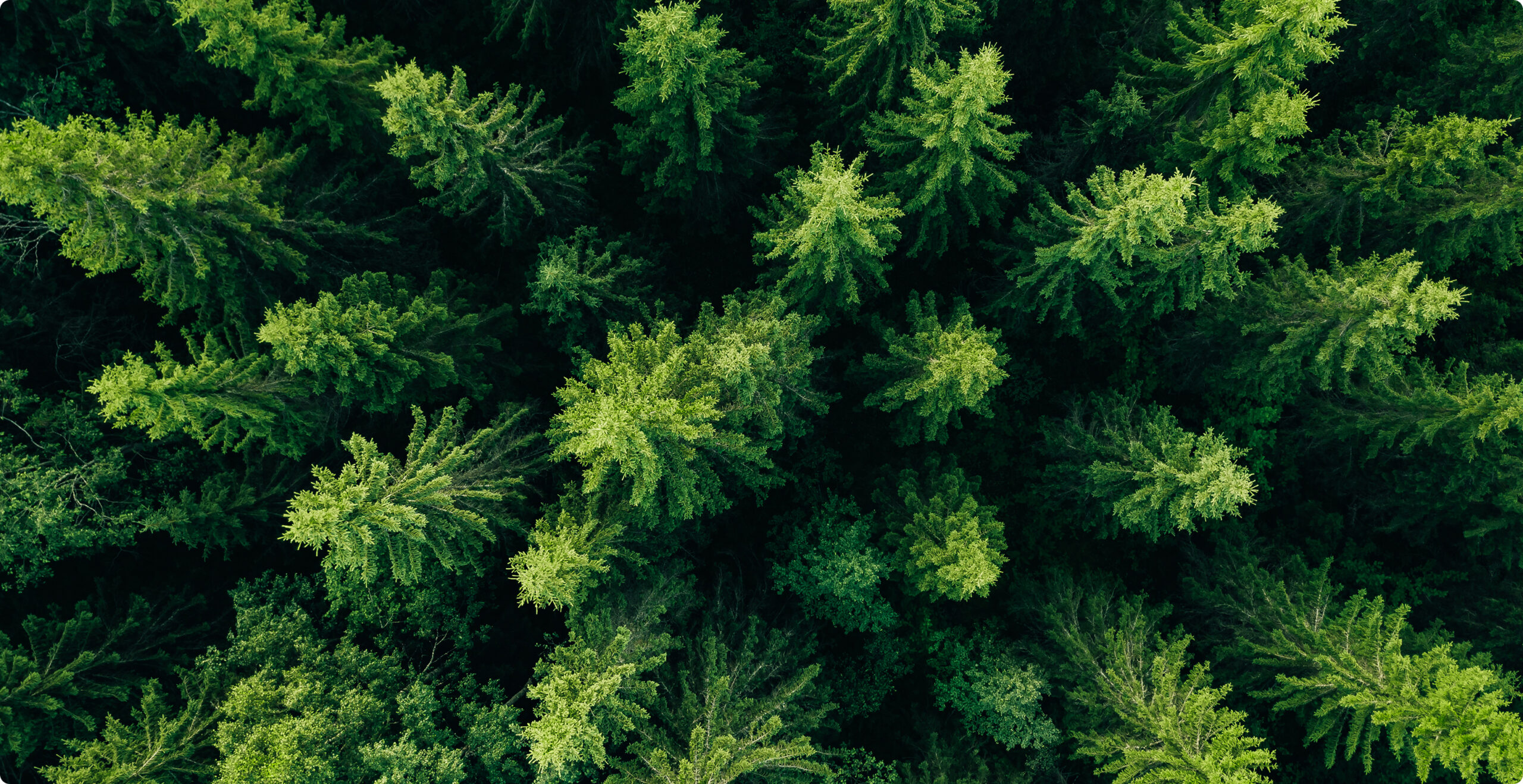 Soluzioni Elvi per etichettatura e sostenibilità degli imballaggi